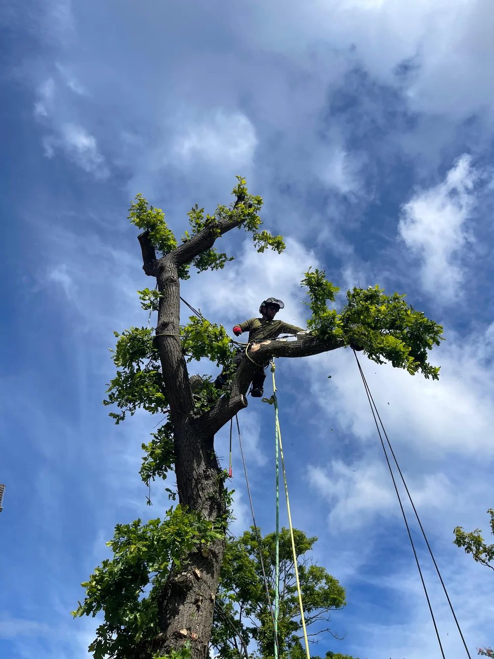 On the job