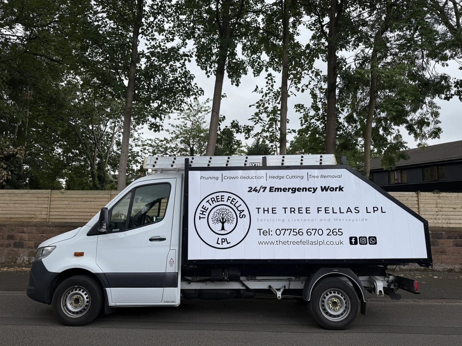 The Tree Fellas LPL work van