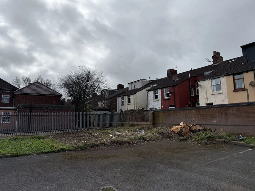 Street-side fell & full clear-up in Liverpool &mdash; after The Tree Fellas LPL tree surgery
