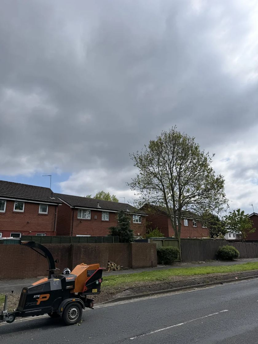 Back garden reclaimed in Liverpool &mdash; after The Tree Fellas LPL tree surgery