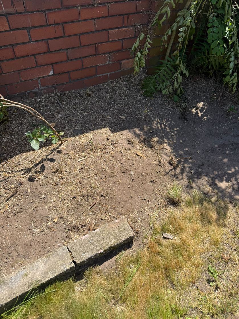 Stump ground out in Liverpool &mdash; after The Tree Fellas LPL tree surgery