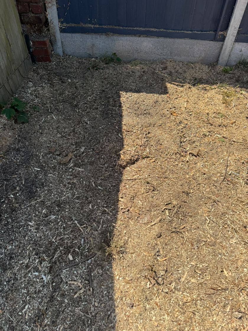 Stump ground out in Liverpool &mdash; after The Tree Fellas LPL tree surgery