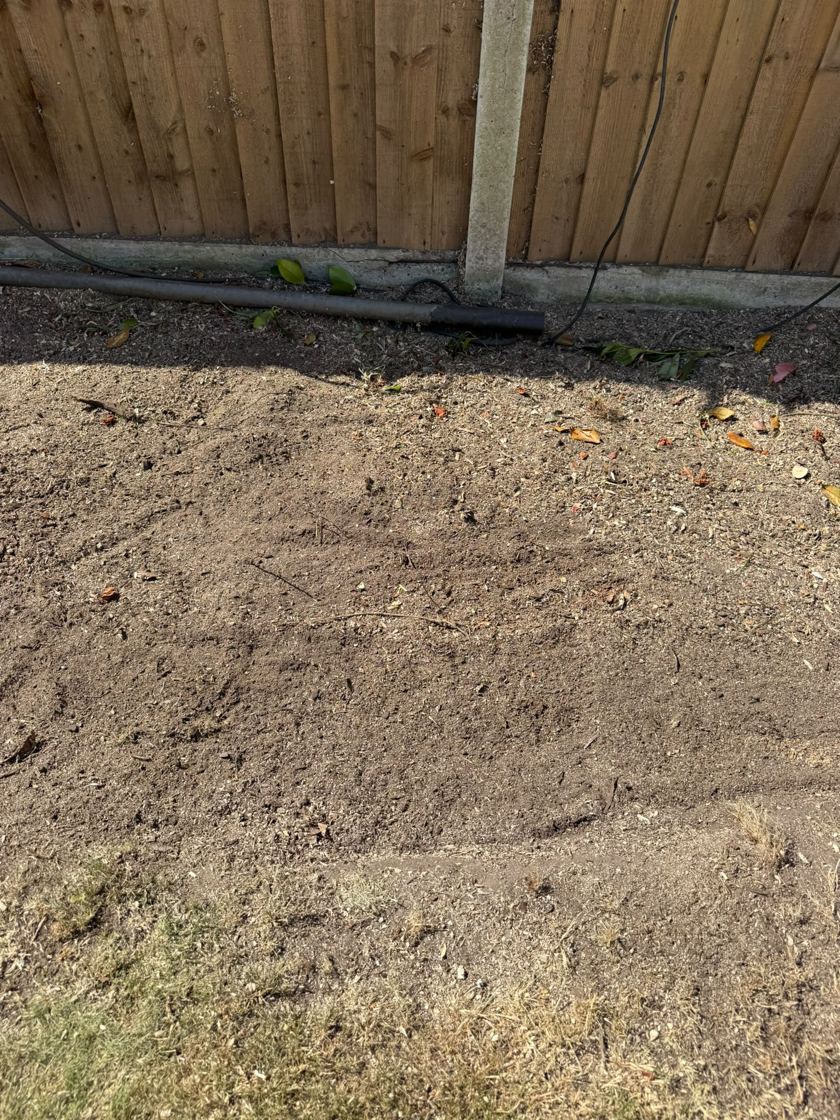 Stump ground out in Liverpool &mdash; after The Tree Fellas LPL tree surgery