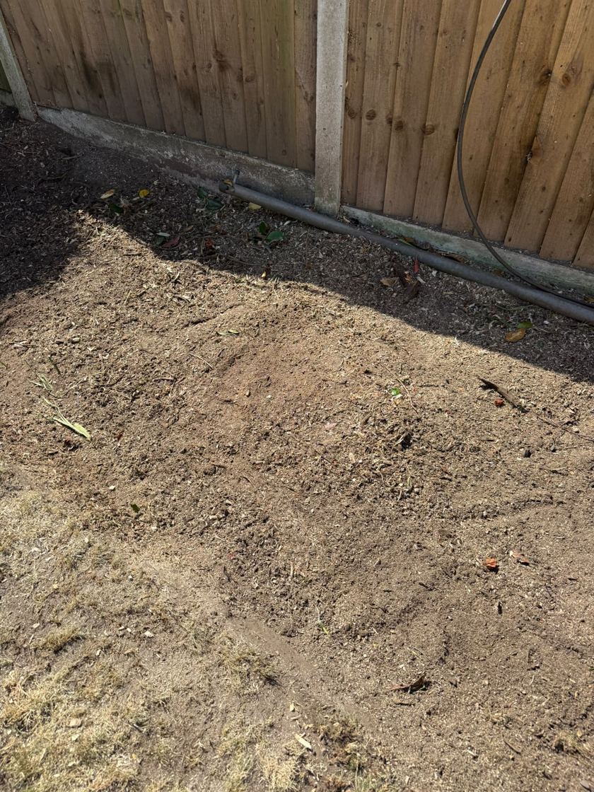 Stump ground out in Liverpool &mdash; after The Tree Fellas LPL tree surgery