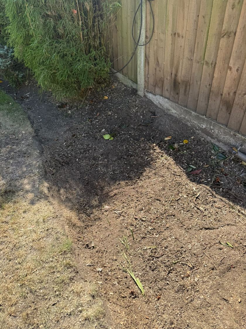 Stump ground out in Liverpool &mdash; after The Tree Fellas LPL tree surgery